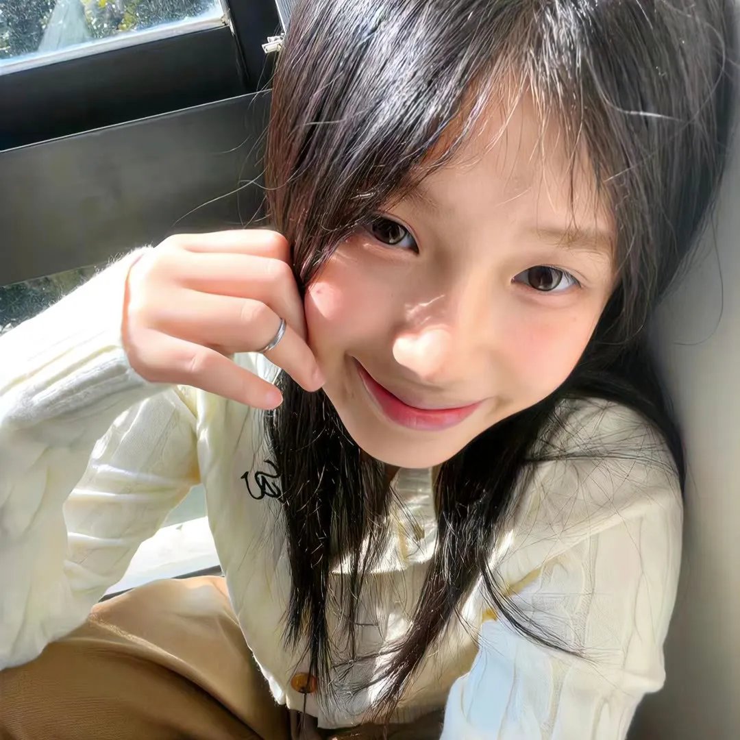 梅花档案